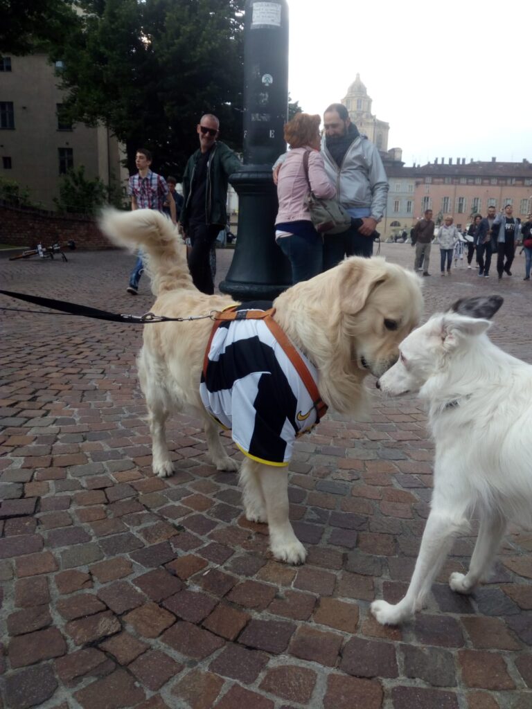 festa scudetto Juve 4