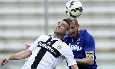 Ghezzal Chiellini DAN4464