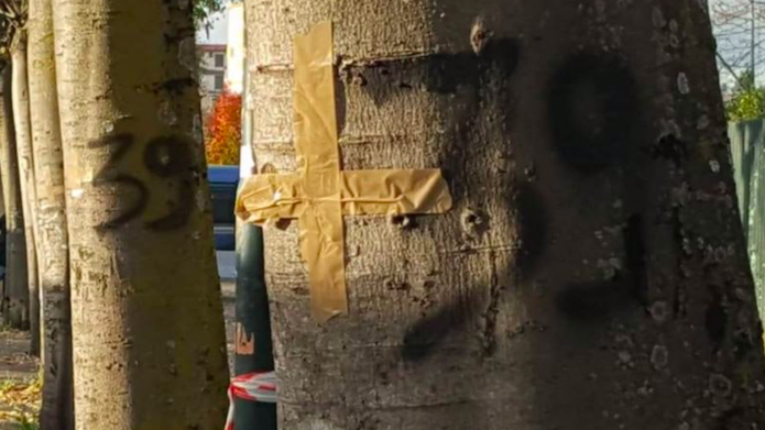 Fiorentina-Juve, il pre partita è avvelenato: ecco cosa è successo - FOTO 36 fiorentina juventus heysel