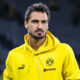Hummels