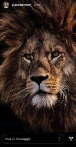 Infortunio Vrioni: la reazione dell'attaccante dopo l'infortunio - FOTO 39 WhatsApp Image 2020 11 28 at 13.34.16