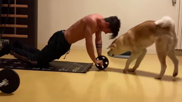 Dybala pensa solo al rientro: lavoro a casa. La Juve lo aspetta - FOTO 36 dybala 1