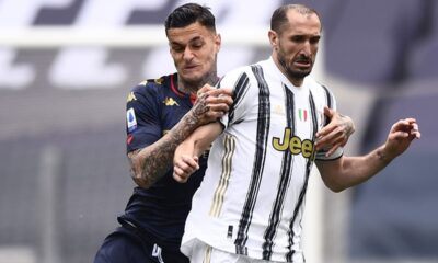 Scamacca Chiellini