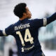 mckennie juventus