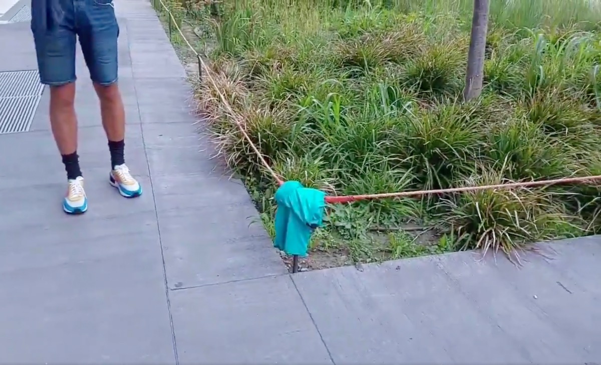 Inter, ancora proteste dei tifosi: maglia abbandonata sotto la sede - VIDEO 36 WhatsApp Image 2021 08 05 at 17.19.27