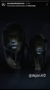 Kulusevski 'cucciolo' di leone di Ibrahimovic: il messaggio - FOTO 39 kulusevski ibrahimovic instagram