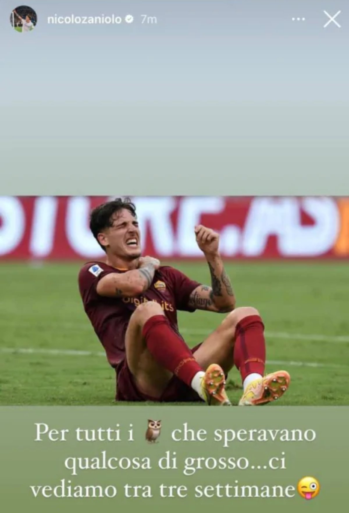 Zaniolo dopo l'infortunio: «A tutti i gufi che speravano in qualcosa di grosso…» - FOTO 37 image 40 473x1024 1