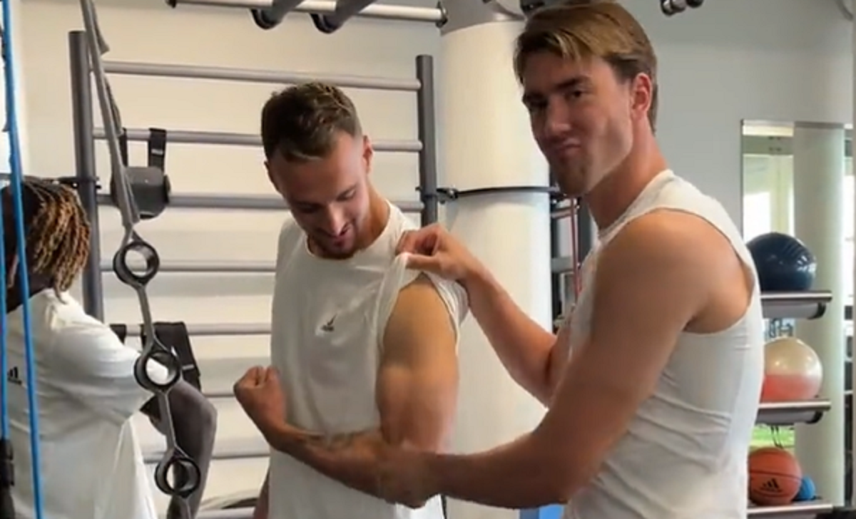 Vlahovic e Gatti divertono i tifosi: siparietto social tutto da ridere - VIDEO 36 vlahovic gatti