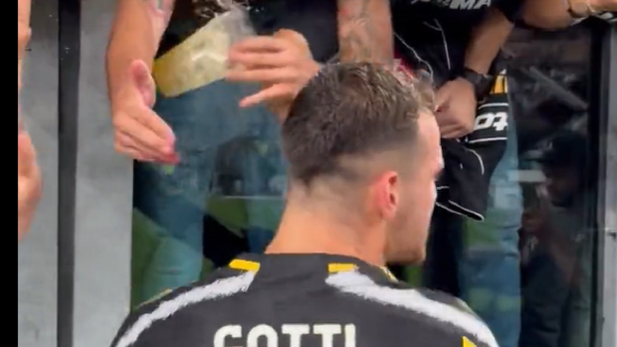 Juve Torino: le tre cose che non hai notato 36 gatti