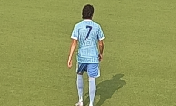aresini