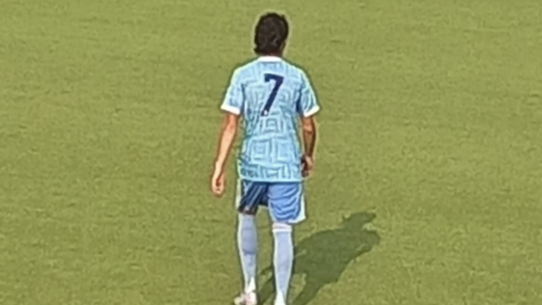 aresini