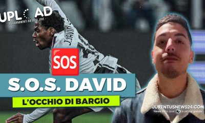 david juve