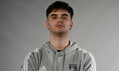 luca campolunghi zebras