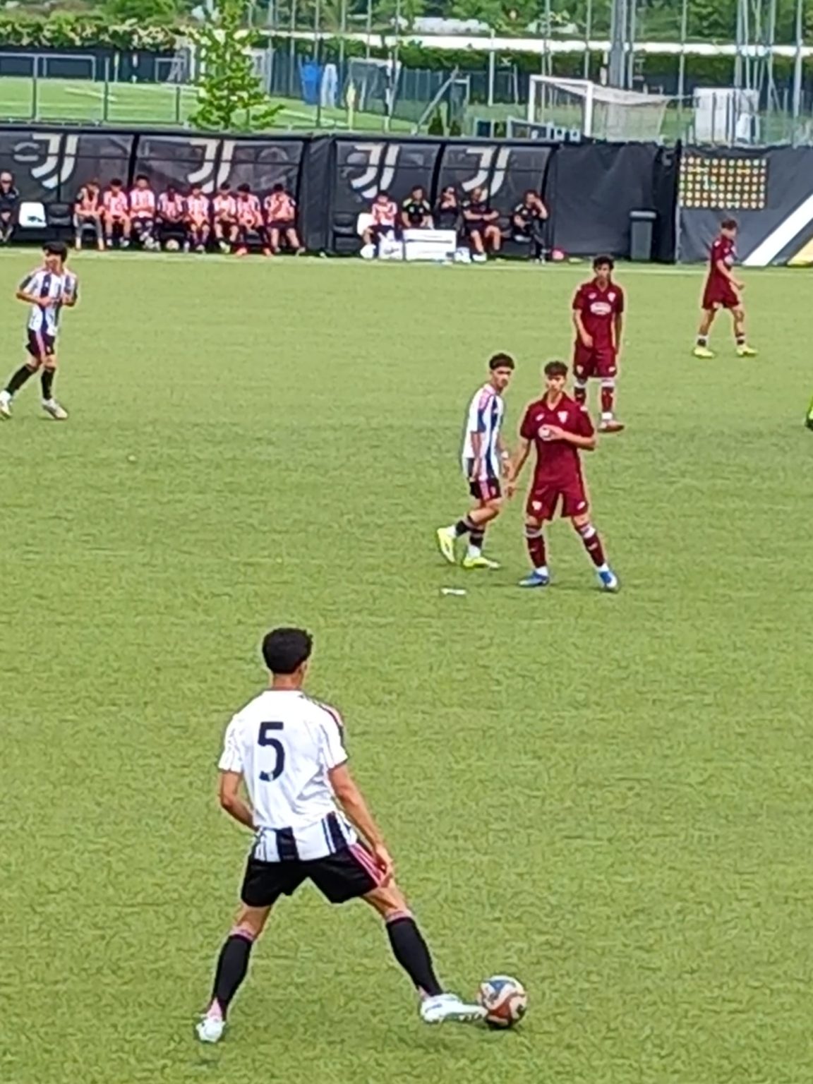 juventus under 17 pessime notizie per grauso rottura del crociato per balbo e stagione praticamente finita la situazione da Juventusnews24.com juventus under 17 pessime notizie per grauso rottura del crociato per balbo e stagione praticamente finita la situazione