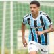 Viery gremio