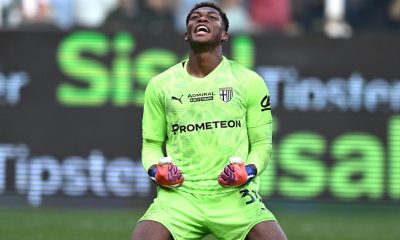 suzuki-parma