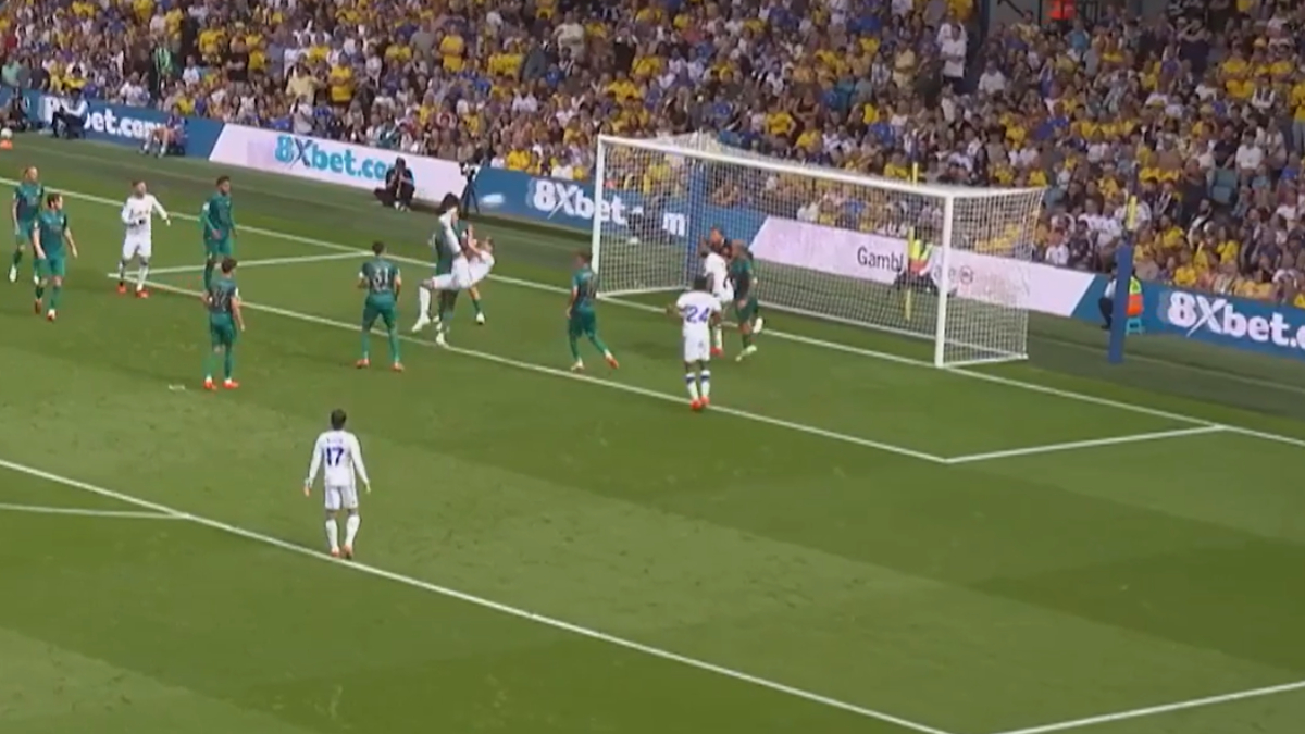 show di muharemovic con il leeds gol da vero bomber dell8217ex juve il difensore si 232 presentato cos236 ai nuovi tifosi 8211 video da Juventusnews24.com show di muharemovic con il leeds gol da vero bomber dell8217ex juve il difensore si 232 presentato cos236 ai nuovi tifosi 8211 video